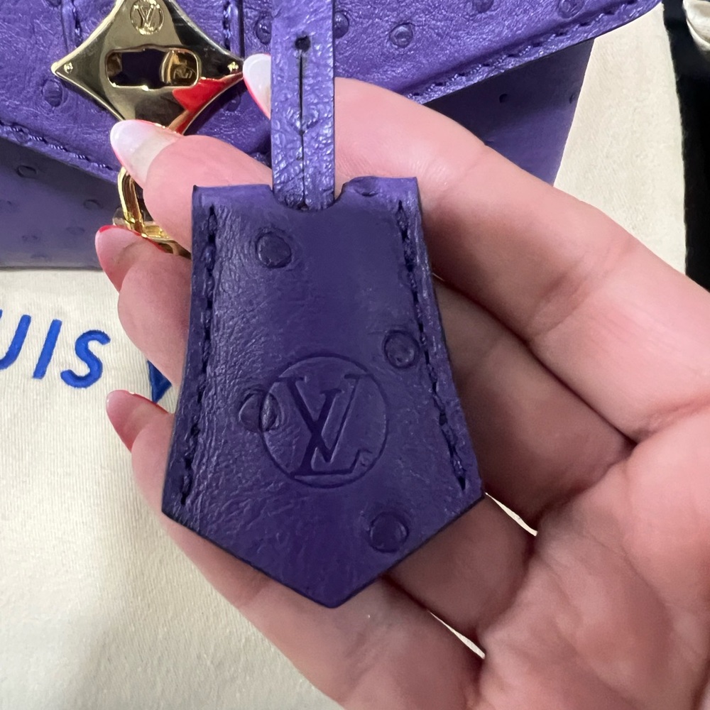 Louis Vuitton BNIB Rose Des vents Exotic ostrich mini bag - Picture 8 of 12